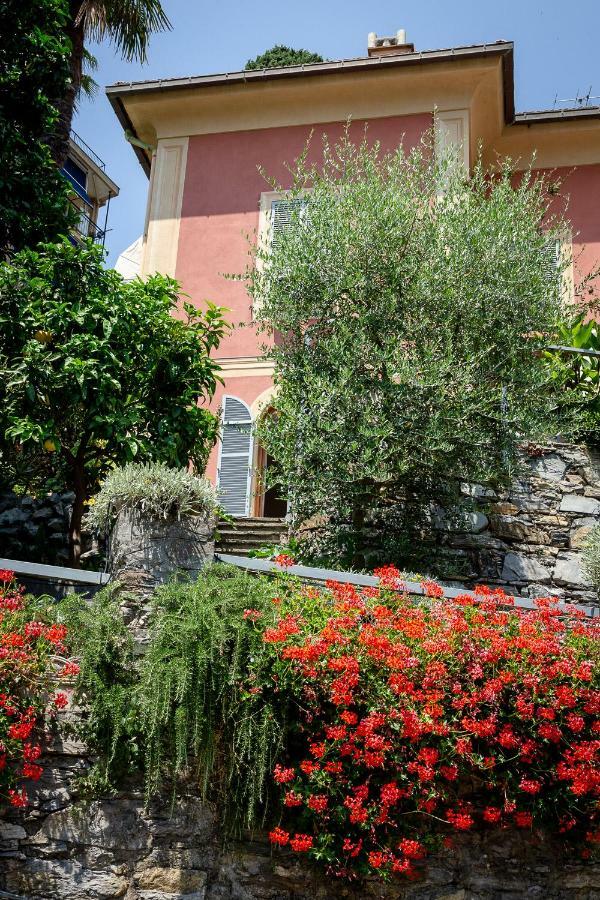 Apartment Villa Bruna 拉帕洛 外观 照片